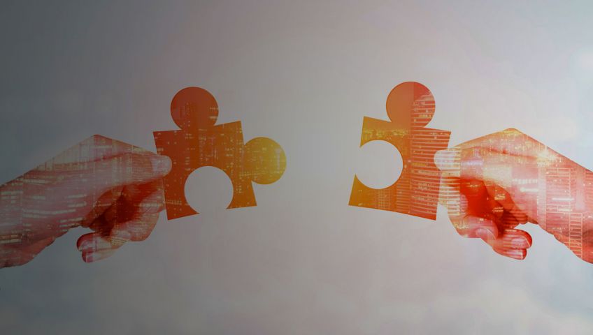 How to Find Affordable OpenText Consultants for Your ECM Needs