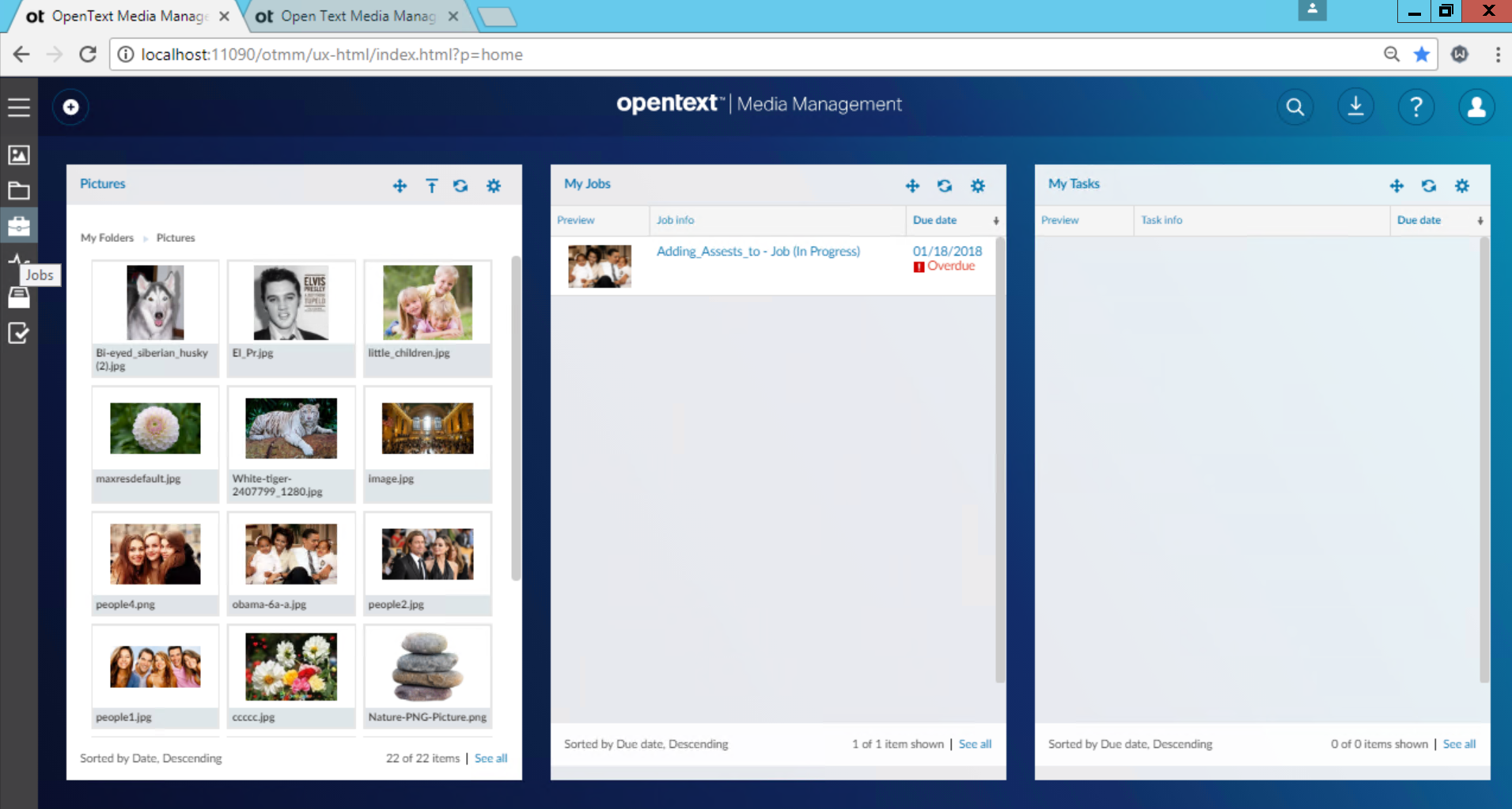 OpenText Media Management: home page