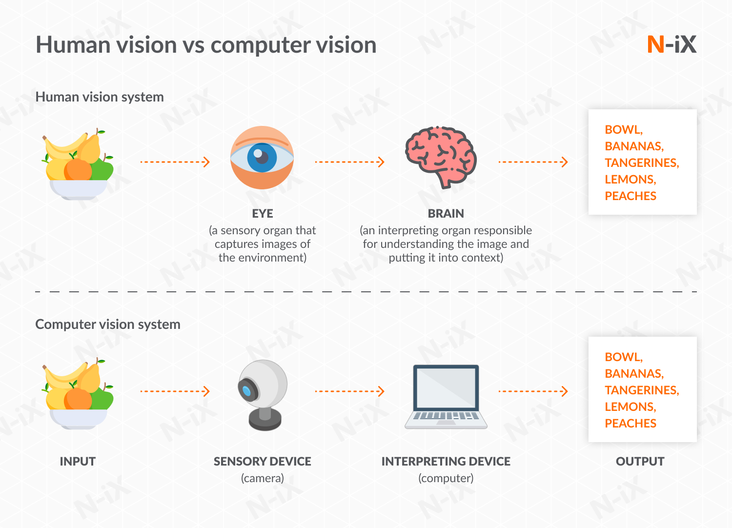 Human vision vs computer vision