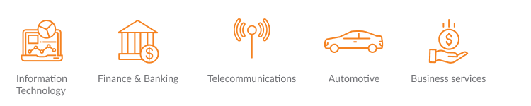 industries of java software development company