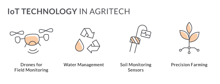 IoT in agritech software development